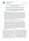 Research paper thumbnail of Desempenho Do Índice De Perigo De Incêndios Fma No Parque Nacional Da Chapada Dos Guimarães-MT