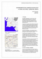 Research paper thumbnail of VALERA, A. C., NUNES, T. e COSTA, C. (2010) – Enterramentos de canídeos no Neolítico: A fossa 5 de Corça 1 (Brinches, Serpa), Apontamentos de Arqueologia e Património, 5, pp. 7-17.