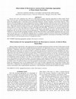 Research paper thumbnail of Observations of Mycteroperca venenosa from a Spawning Aggregation at Mona Island, Puerto Rico