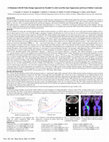 Research paper thumbnail of A minimum SAR RF pulse design approach for parallel Tx with local hot spot suppression and exact fidelity constraint