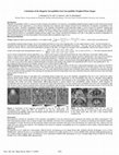 Research paper thumbnail of Calculation of the magnetic susceptibility from susceptibility weighted phase images