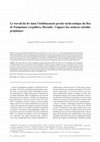 Research paper thumbnail of Le travail du fer dans l'établissement perché tardo-antique du Roc de Pampelune (Argelliers, Hérault): l'apport des analyses métallographiques