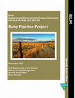 Research paper thumbnail of Final Supplemental Environmental Impact Statement Ruby Pipeline Project DOI-BLM-NV-0000-2013-0001-EIS