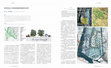 Research paper thumbnail of Phytoremediation of Water and Soil as an Experience and Framework for Urban Brownfields