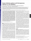 Research paper thumbnail of Human infection patterns and heterogeneous exposure in river blindness