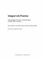 PDF) Integral life practice