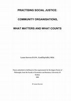 PDF) Navigating Social Justice in Community Organizations