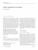 Research paper thumbnail of Update: Schizophrenia across Cultures