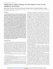Research paper thumbnail of Multiple Roles for Platelet GPIIb/IIIa and v3 Integrins in Tumor Growth, Angiogenesis, and Metastasis