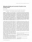 Research paper thumbnail of Allometric scaling and locomotor function in the primate pelvis