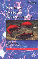 (PDF ...