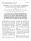 Research paper thumbnail of Neutralization of Measles Virus Infectivity and Antibody-Dependent Cell-Mediated Cytotoxicity Activity against an Epstein-Barr Virus-Infected Cell Line by Intravenous Immunoglobulin G