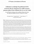 Research paper thumbnail of Utilisation et technique de production du fer et du bois dans les charpentes de comble mosanes : premiers jalons d’une évolution du XIIe au XVIIIe siècle