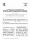 PDF) Polyurethane Synthesis