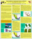 Research paper thumbnail of Some benefits of community forestry in Mexico
