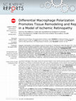 Research paper thumbnail of Differential Macrophage Polarization Promotes Tissue Remodeling and Repair in a Model of Ischemic Retinopathy
