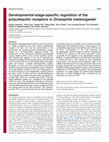 Research paper thumbnail of Developmental-stage-specific regulation of the polyubiquitin receptors in Drosophila melanogaster
