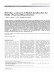 Research paper thumbnail of Botryllus schlosseri: A Model Ascidian for the Study of Asexual Reproduction