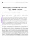 PDF) Intercropping Systems in Sugarcane