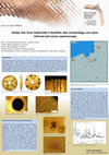 Research paper thumbnail of Amber disc from Daktariškė 5 Neolithic site: archaeology, use-wear, infrared and raman spectroscopy