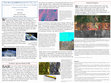 Research paper thumbnail of From Above the 30,000 Foot Level: The Utility and Limitations of New Generation Open-Access Satellite
