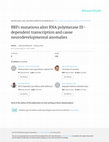 Research paper thumbnail of BRF1 mutations alter RNA polymerase III–dependent transcription and cause neurodevelopmental anomalies