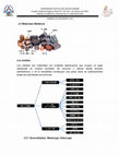 PDF) The uncertainty principle in resonant gravitational wave