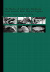 THE SQUARE ～ T-SQUARE \"THE BOX\" PDF) The Practice of Veterinary Anesthesia (2008)