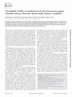 Research paper thumbnail of Susceptibility Profiles of Amphotericin B and Posaconazole against Clinically Relevant Mucorales Species under Hypoxic Conditions