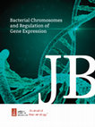 入荷なう Chromosomes Bacterial PDF) and Expression Gene of Regulation その他