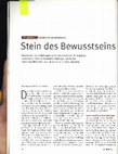 Research paper thumbnail of Stein des Bewusstseins 2007.pdf