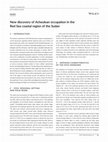 Research paper thumbnail of New discovery of Acheulean occupation in the Red Sea coastal region of the Sudan