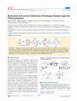 Research paper thumbnail of Mechanism and cis/trans Selectivity of Vinylogous Nazarov-type [6π] Photocyclizations