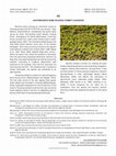 Research paper thumbnail of Another Exotic Weed Invading Corbett Landscape