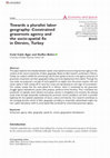 Research paper thumbnail of Towards a Pluralist Labor Geography: Constrained grassroots agency and the socio-spatial fix in Dersim, Turkey