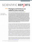 Research paper thumbnail of Phylogeny and herbivory are related to avian cecal size