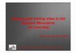 Research paper thumbnail of Roman gold mining sites in the Apuseni Mountains. An overview.