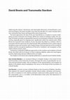 Research paper thumbnail of David Bowie and Transmedia Stardom