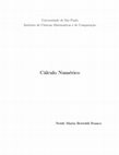 Research paper thumbnail of Cálculo Numérico