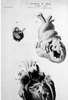 Research paper thumbnail of El Rapto de Higea: Mecanismos de poder en el terreno de la salud y la enfermedad - Jesús García Blanca (Virus Editorial)