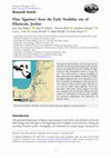 Research paper thumbnail of 2020. Flint 'figurines' from the Early Neolithic site of Kharaysin, Jordan. J.J. Ibáñez, J. Muñiz, T. Huet, J. Santana, L. Teira, F. Borrell, R. Rosillo, E. Iriarte.