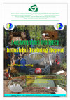 PDF) Why tilapia is becoming the most important food fish on the
