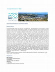Research paper thumbnail of Small-Island Resilience and Vulnerability 
CFP- EAA 2021-Kiel