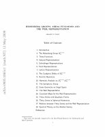 PDF) Heisenberg Groups, Theta Functions and the Weil Representation