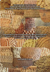 Research paper thumbnail of Arqueologia Guarani e experimental no Baixo Paranapanema Paulista: o estudo dos sítios arqueológicos Lagoa Seca, Pernilongo, Aguinha e Ragil II