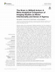 Research paper thumbnail of The Brain in (Willed) Action: A Meta-Analytical Comparison of Imaging Studies on Motor Intentionality and Sense of Agency