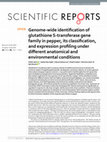 Research paper thumbnail of Genome-wide identification of glutathione S-transferase gene family in pepper, its classification, and expression profiling under different anatomical and environmental conditions