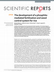 Research paper thumbnail of The development of a phosphite-mediated fertilization and weed control system for rice