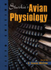 PDF) Avian Physiology