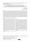 Research paper thumbnail of Entre la cultura participativa y la convergencia mediática. El producto audiovisual argentino de YouTube: Te Lo Resumo Así Nomás